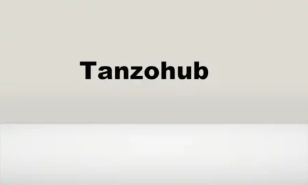 Tanzohub – The Ultimate Platform for Tanzanian Businesses